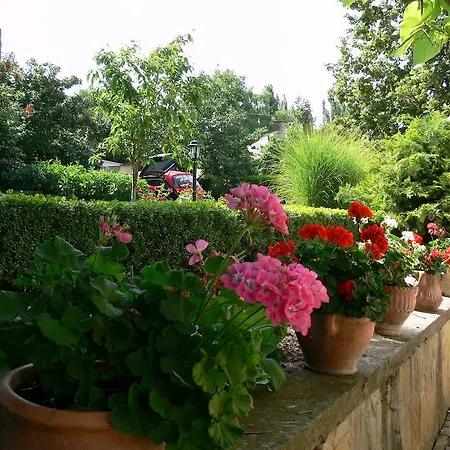 Guest house Harsfa Szallo *