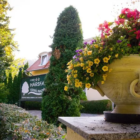 Guest house Harsfa Szallo Tamasi